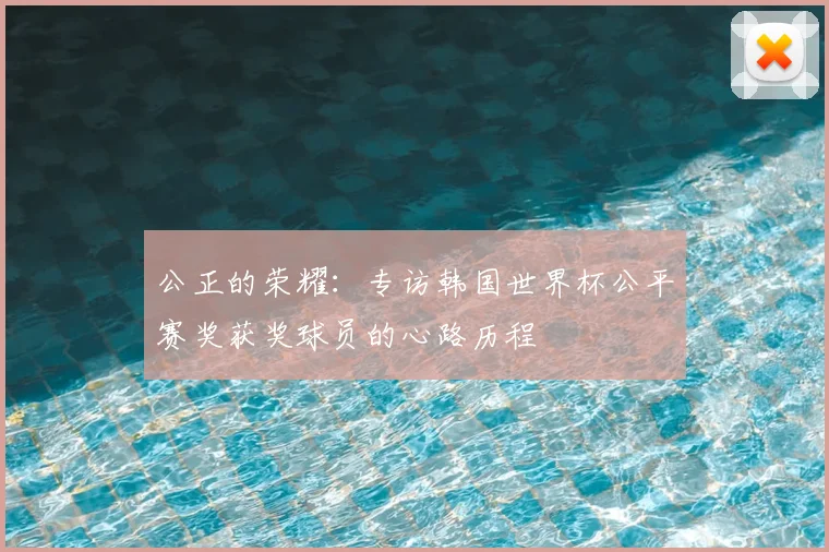 公正的荣耀:专访韩国世界杯公平赛奖获奖球员的心路历程