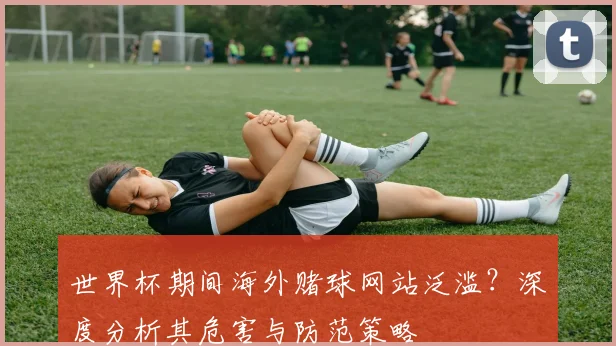 世界杯期间海外赌球网站泛滥?深度分析其危害与防范策略