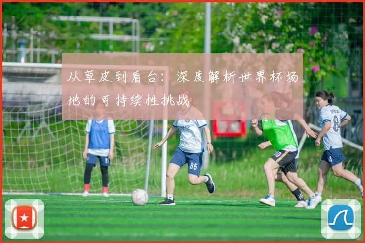 从草皮到看台：深度解析世界杯场地的可持续性挑战