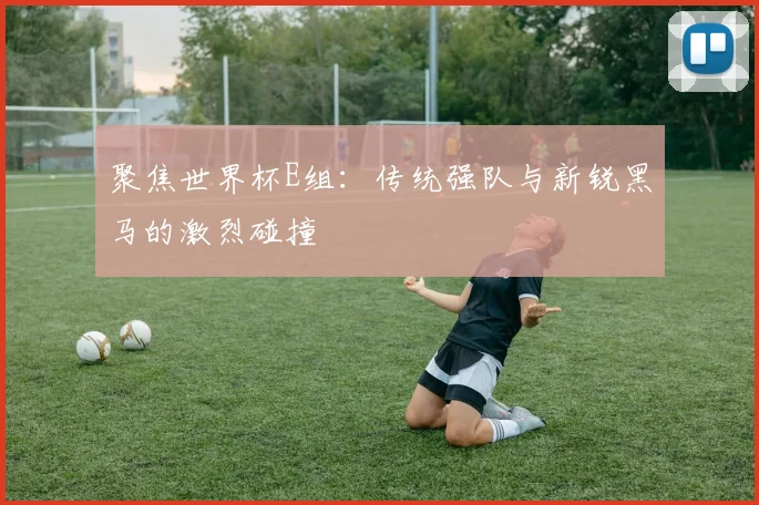 聚焦世界杯E组:传统强队与新锐黑马的激烈碰撞