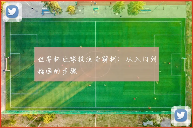 世界杯让球投注全解析：从入门到精通的步骤